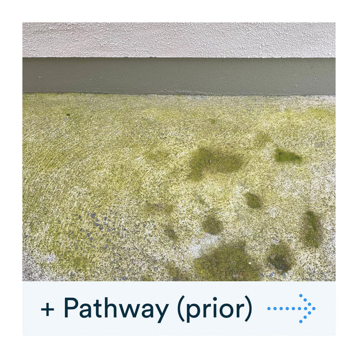 Actiwash Pro 5L Professional Softwash Biocide - Chlorine Free
