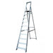 Lyte Class 1 10 Step Platform Ladder  (NESP10) - General Hardware Supplies Homevalue